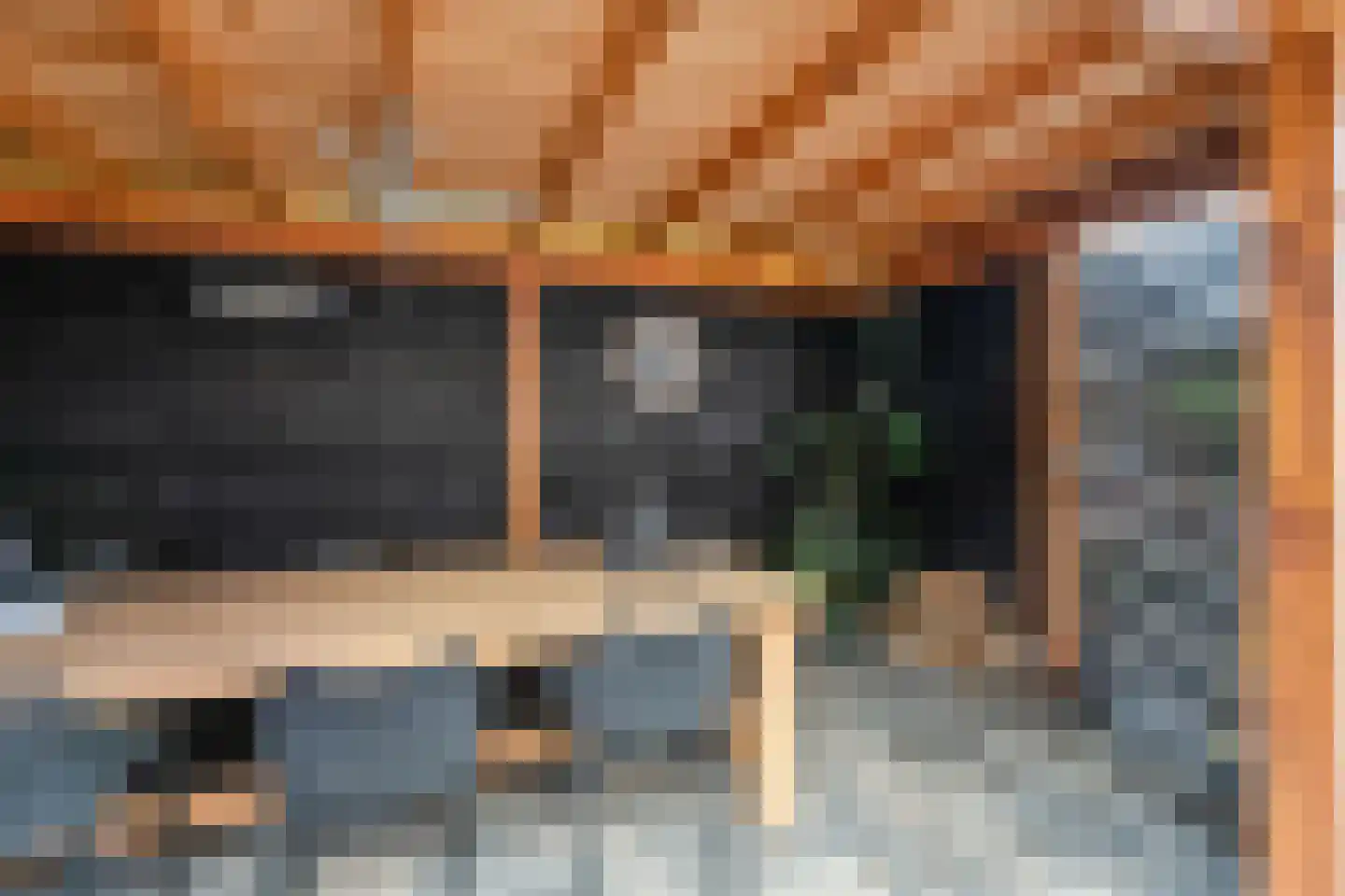 Meerval 49 Hoogeveen thumbnail 33