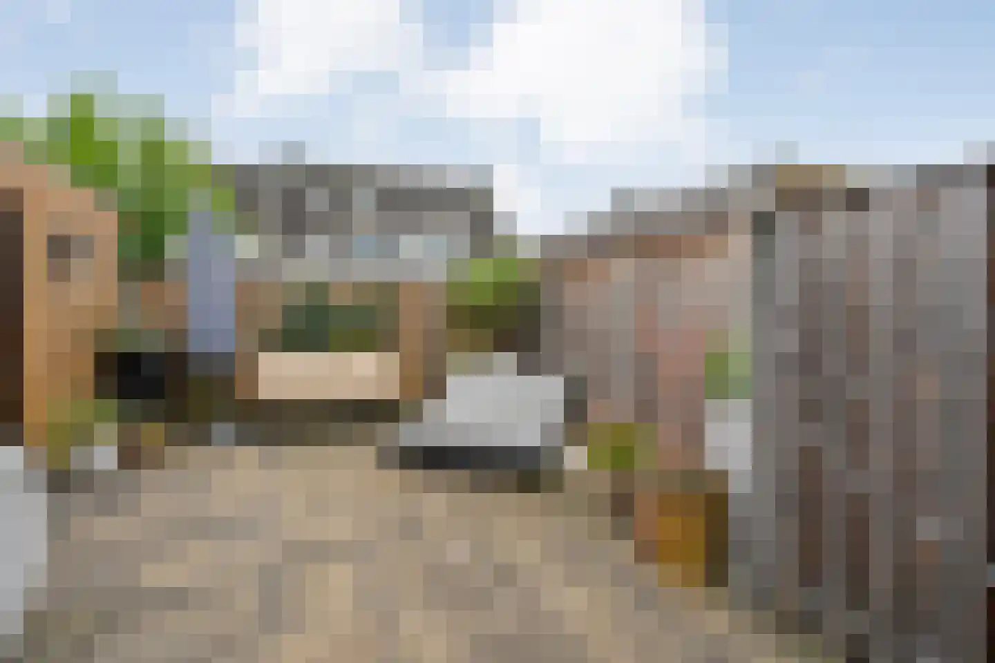 Meerval 49 Hoogeveen thumbnail 34