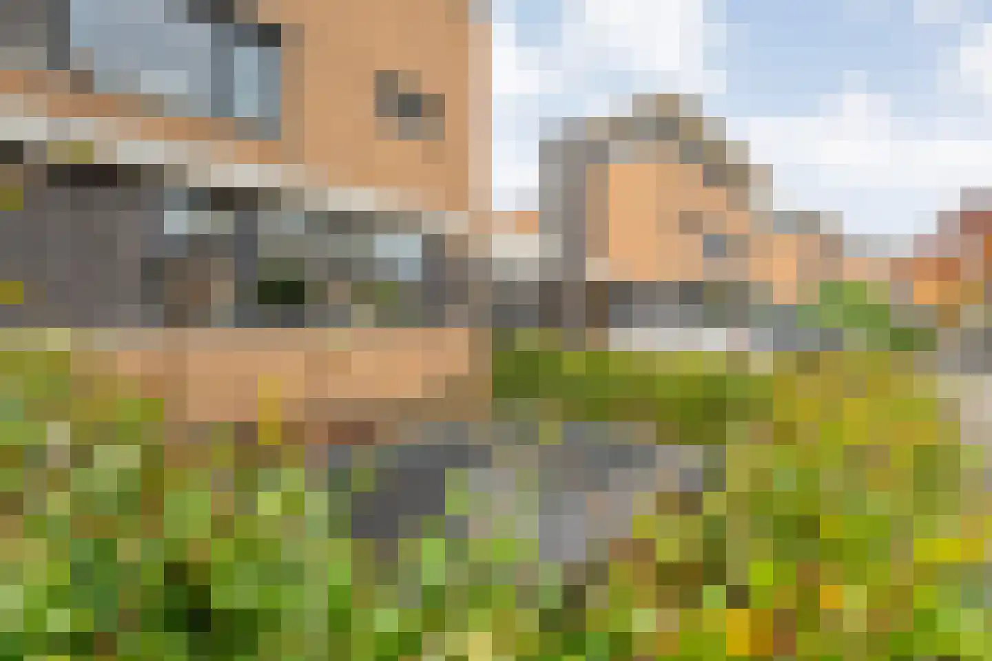 Meerval 49 Hoogeveen thumbnail 37