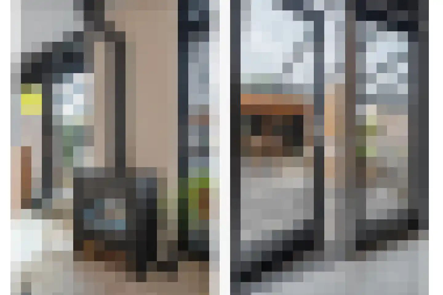 Meerval 49 Hoogeveen thumbnail 4