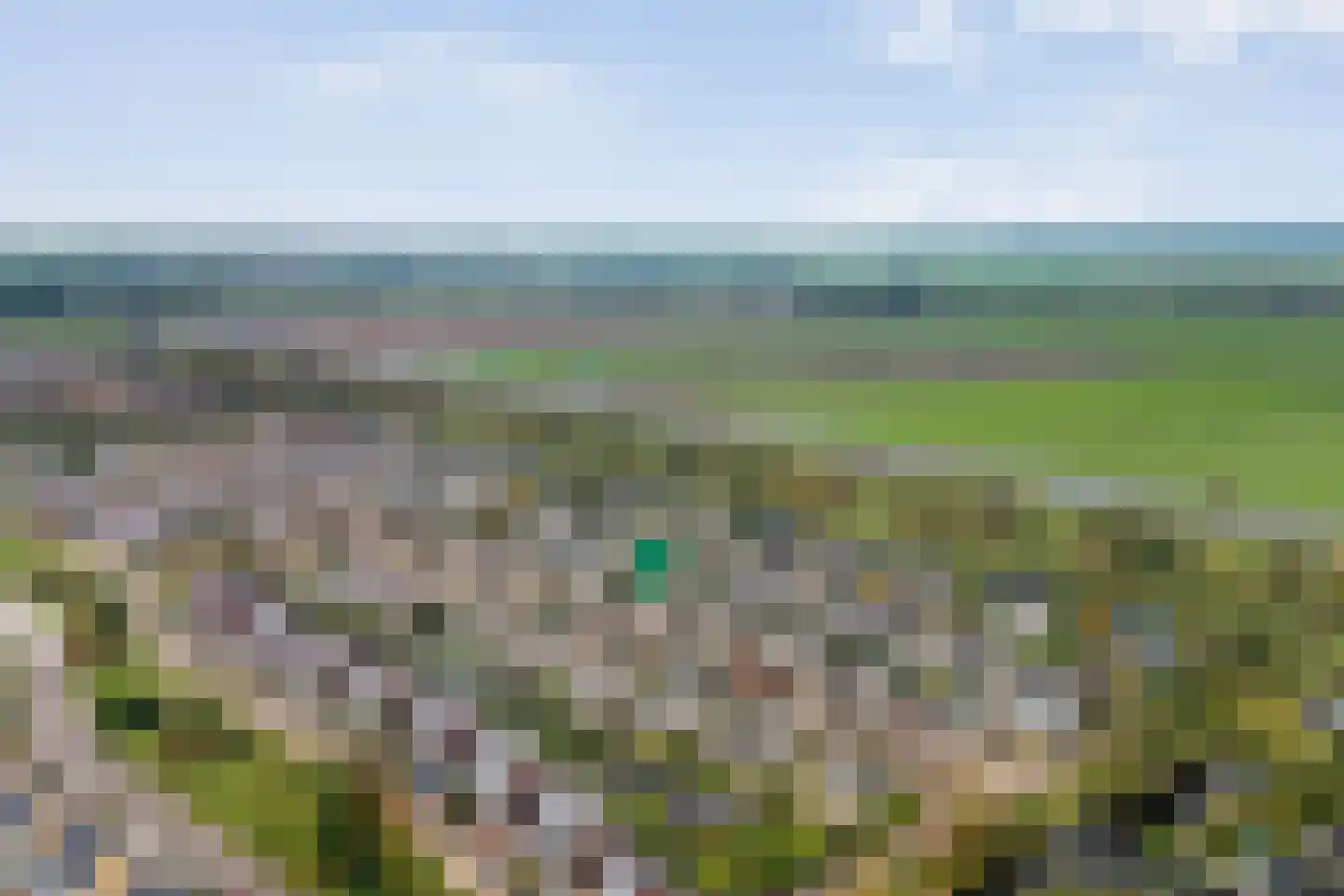 Meerval 49 Hoogeveen thumbnail 41