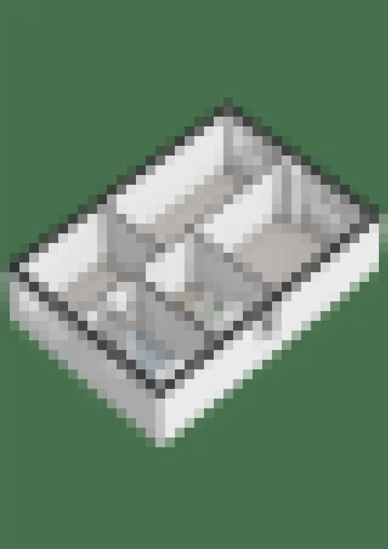 Meerval 49 Hoogeveen thumbnail 45