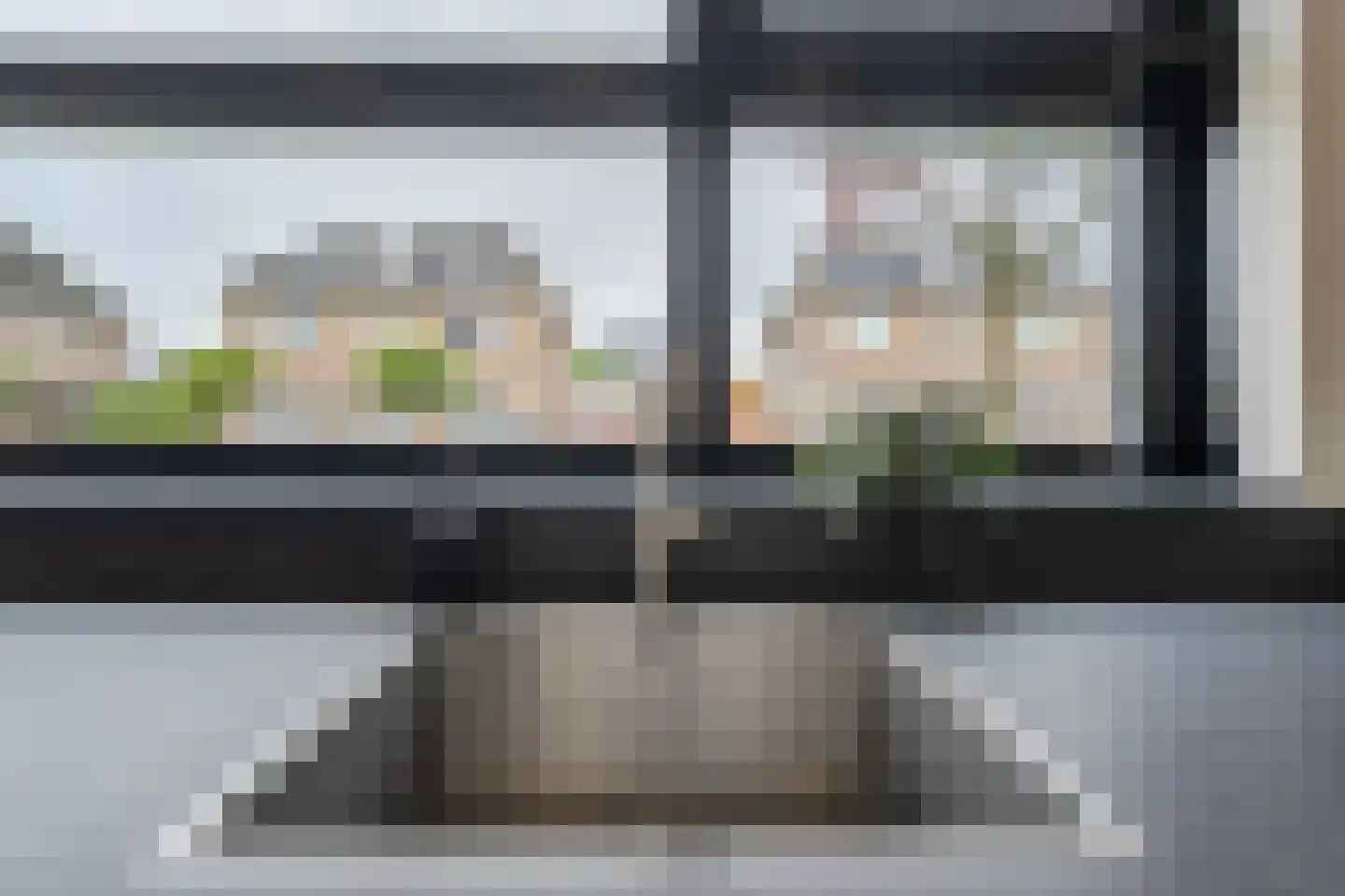 Meerval 49 Hoogeveen thumbnail 8