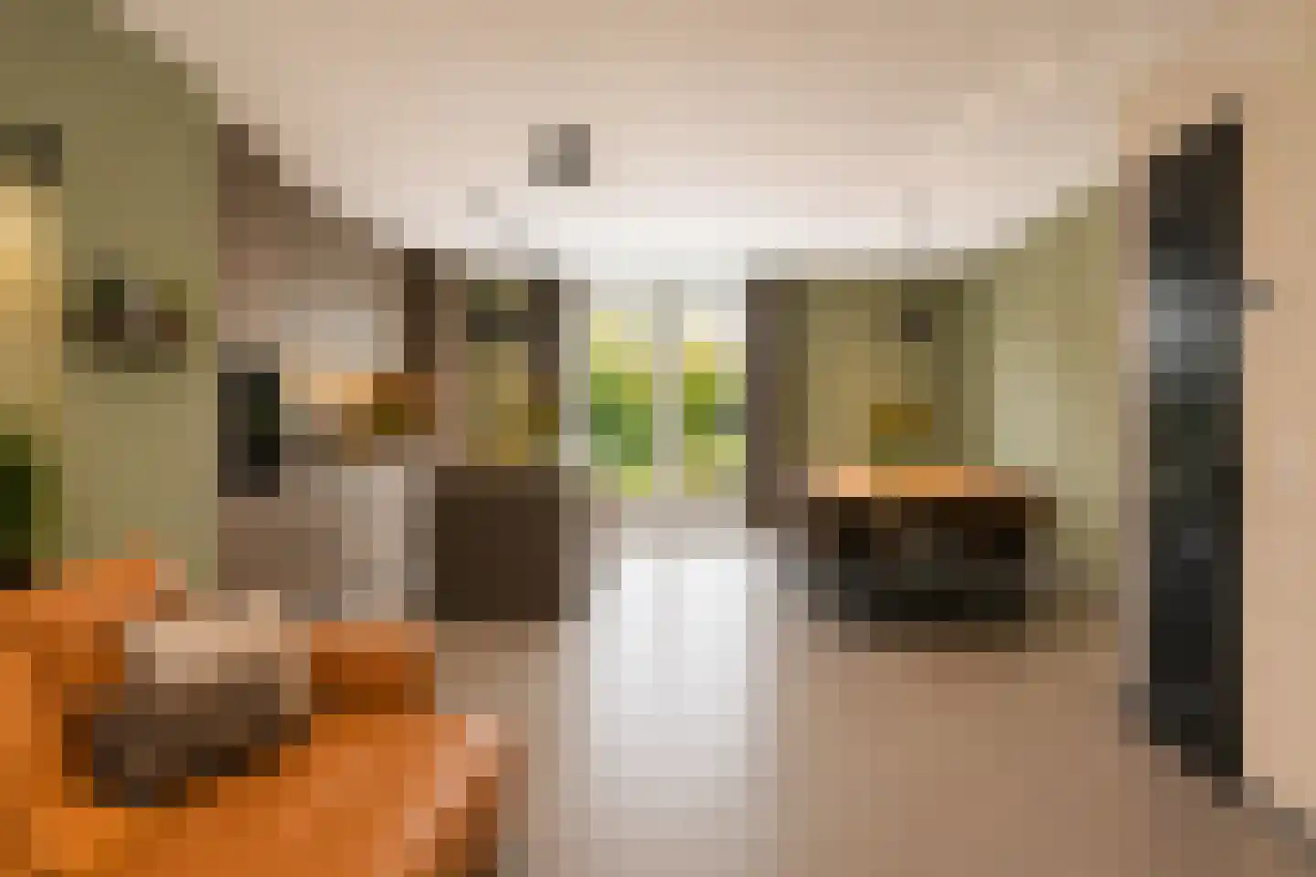 Meerval 49 Oss thumbnail 10