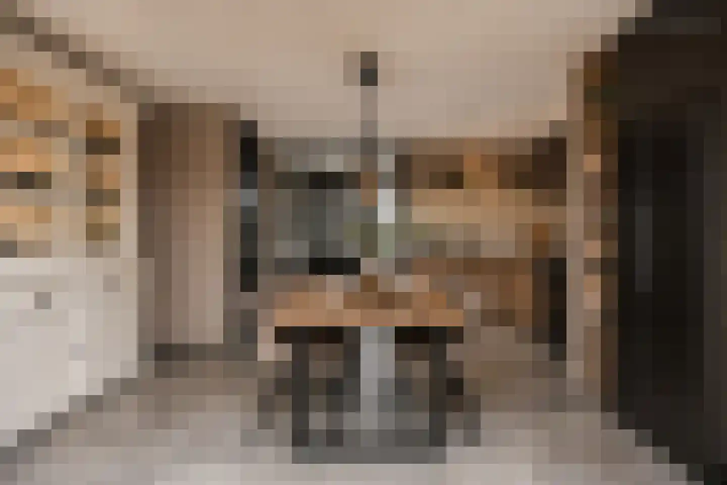 Meerval 49 Oss thumbnail 11