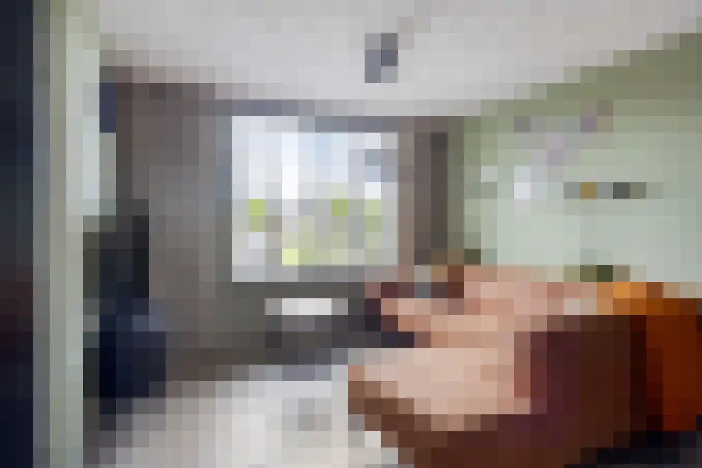 Meerval 49 Oss thumbnail 11