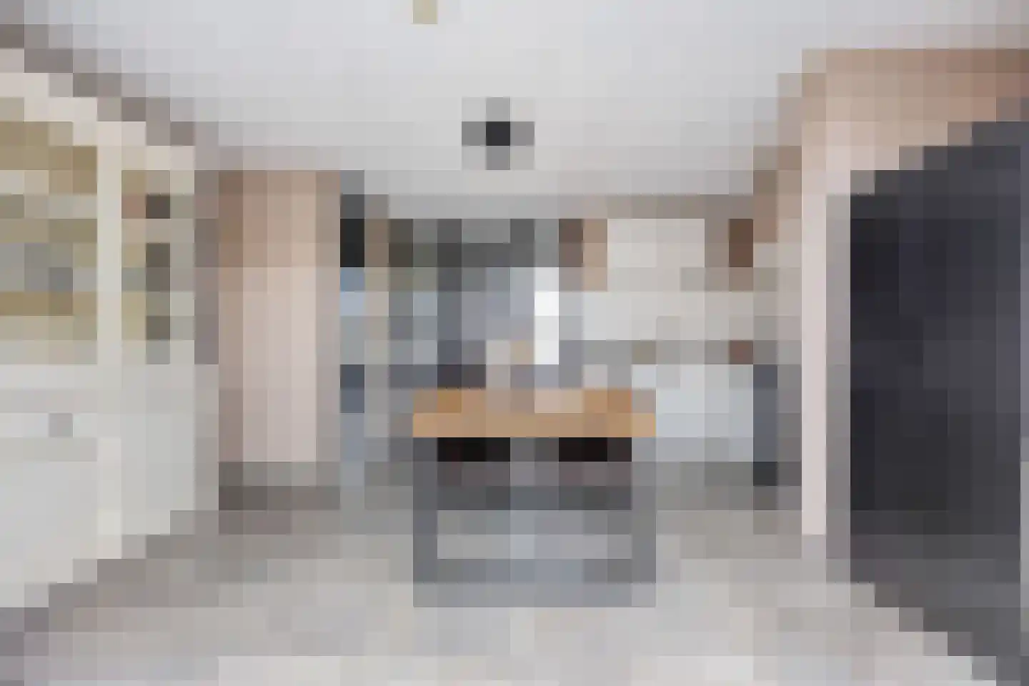 Meerval 49 Oss thumbnail 12