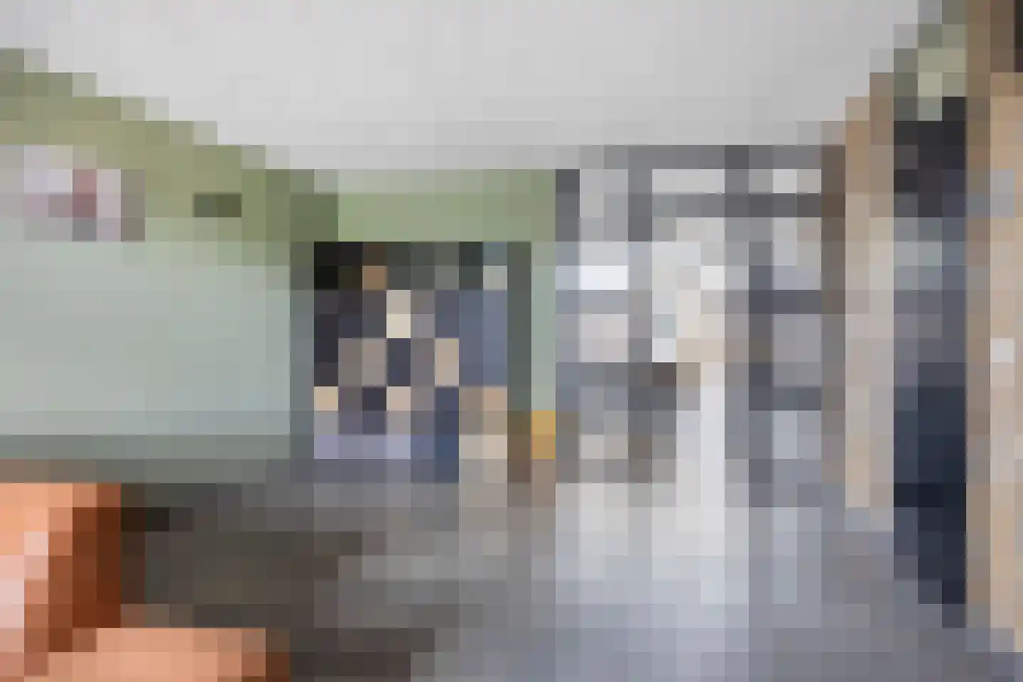 Meerval 49 Oss thumbnail 13