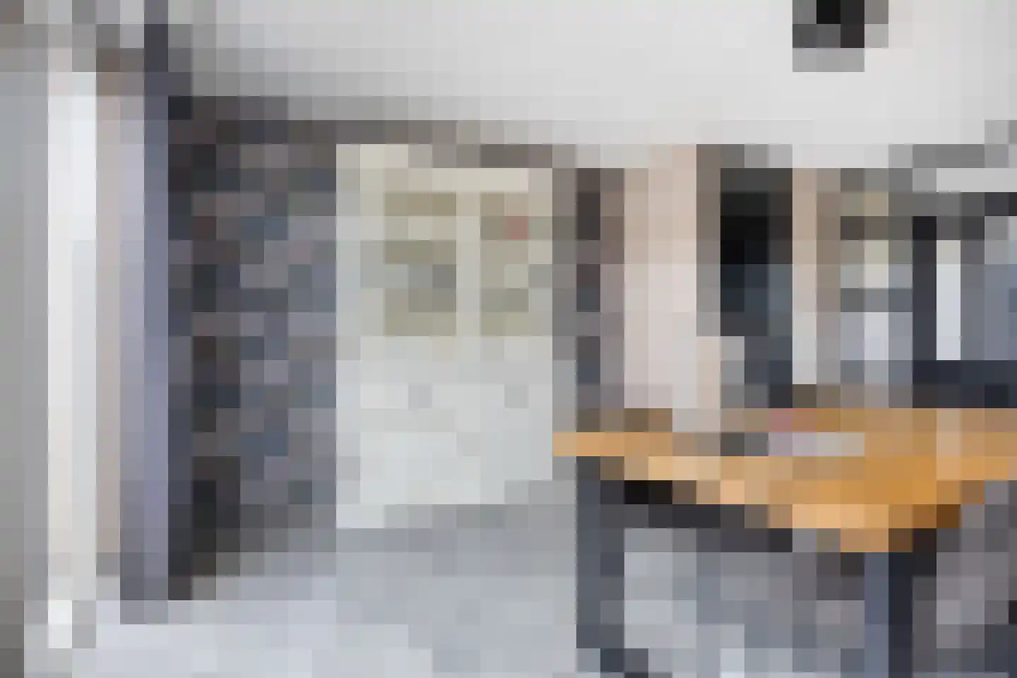 Meerval 49 Oss thumbnail 13