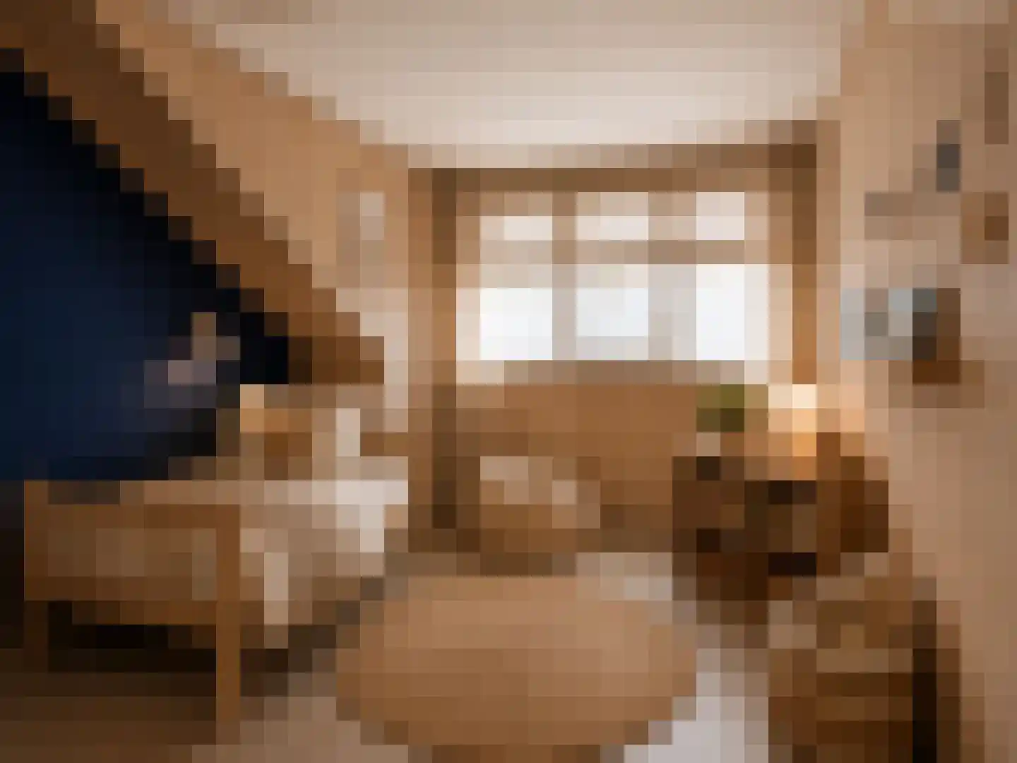 Meerval 49 Oss thumbnail 15
