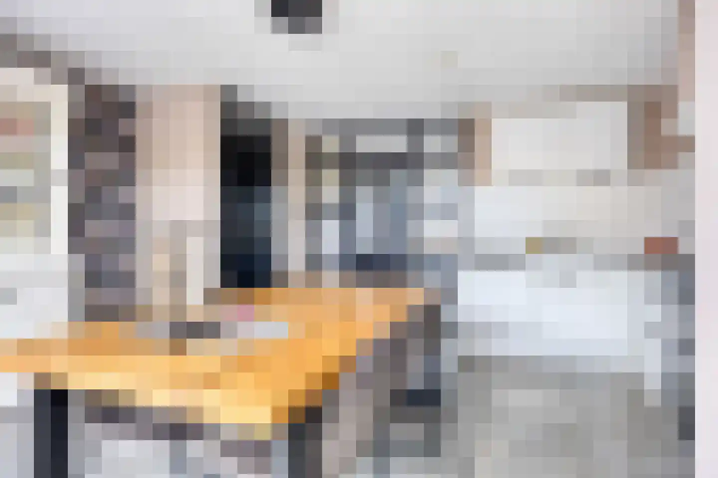 Meerval 49 Oss thumbnail 17