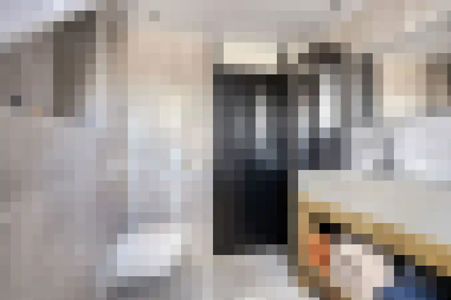 Meerval 49 Oss thumbnail 18