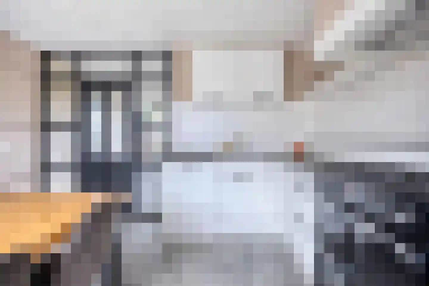 Meerval 49 Oss thumbnail 18