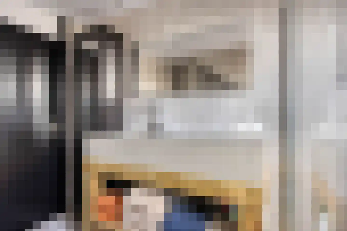 Meerval 49 Oss thumbnail 20