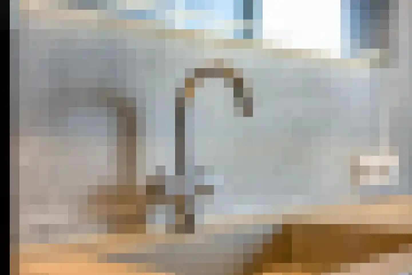 Meerval 49 Oss thumbnail 24