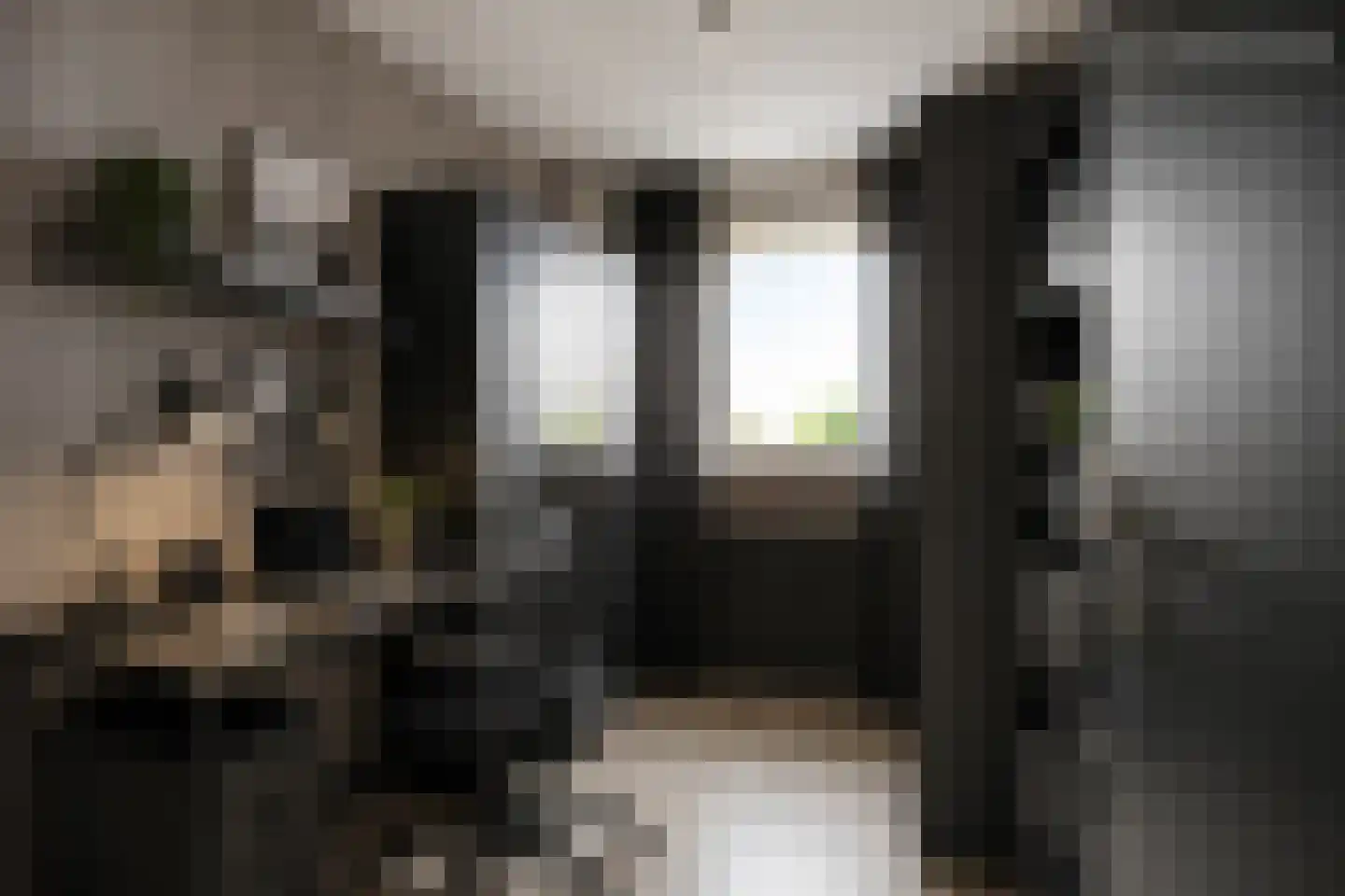 Meerval 49 Oss thumbnail 24