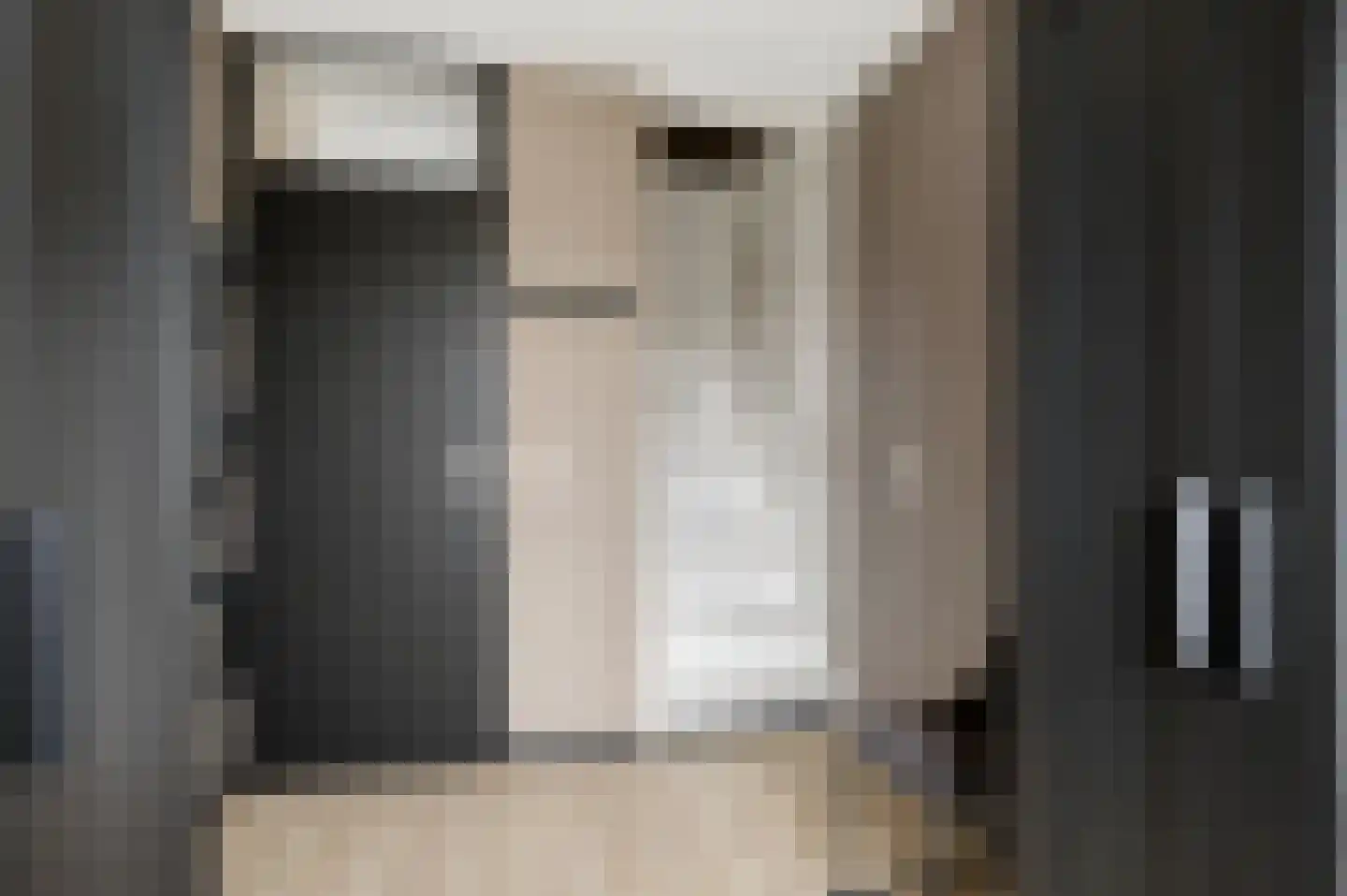Meerval 49 Oss thumbnail 25