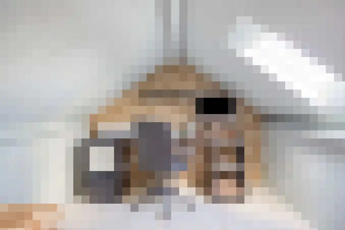 Meerval 49 Oss thumbnail 26