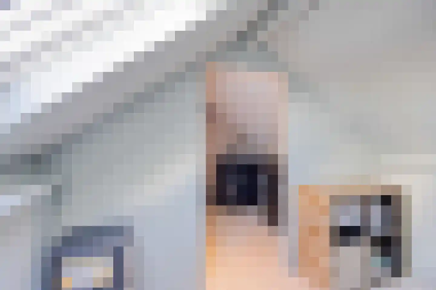 Meerval 49 Oss thumbnail 27