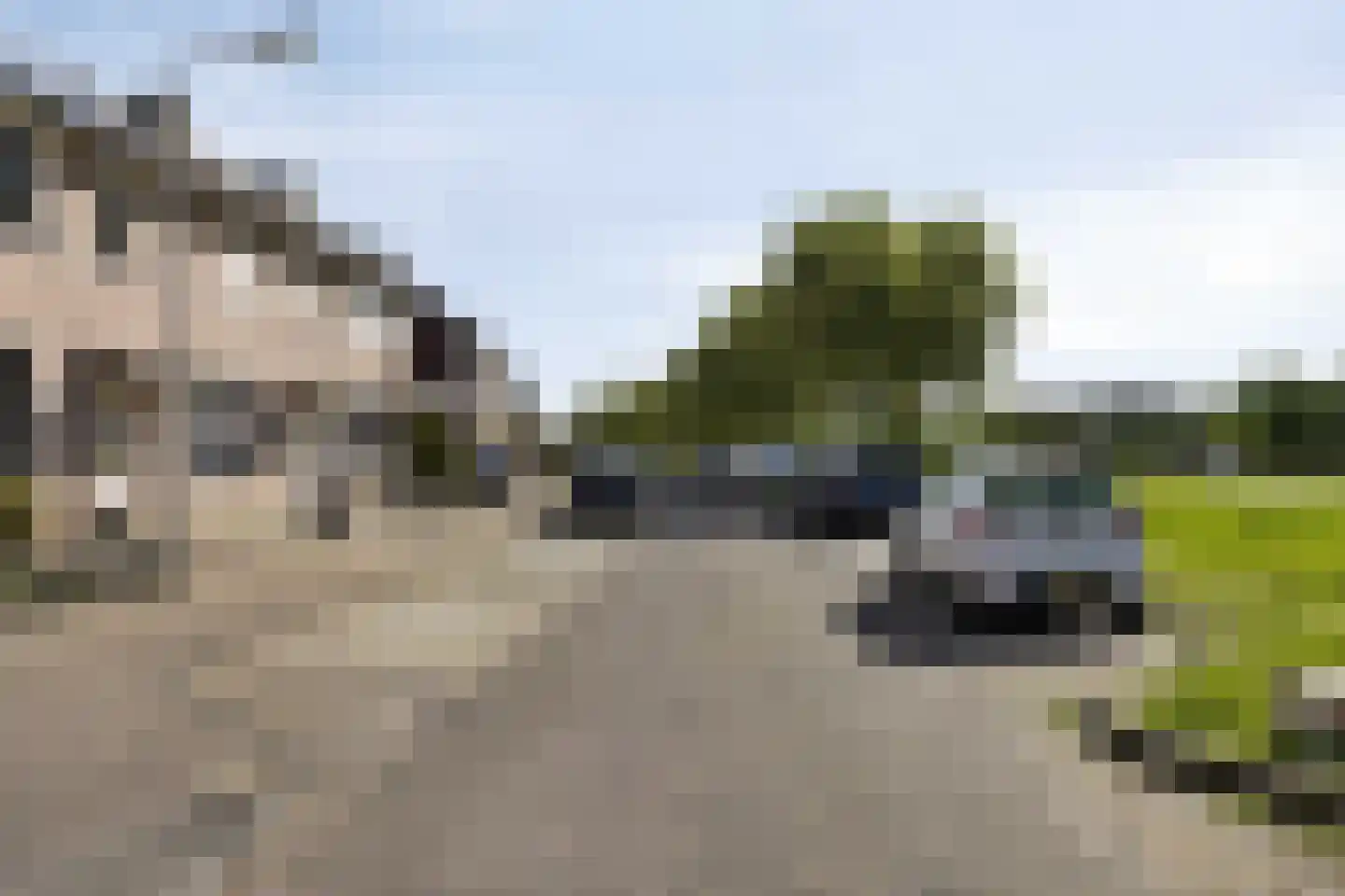 Meerval 49 Oss thumbnail 30