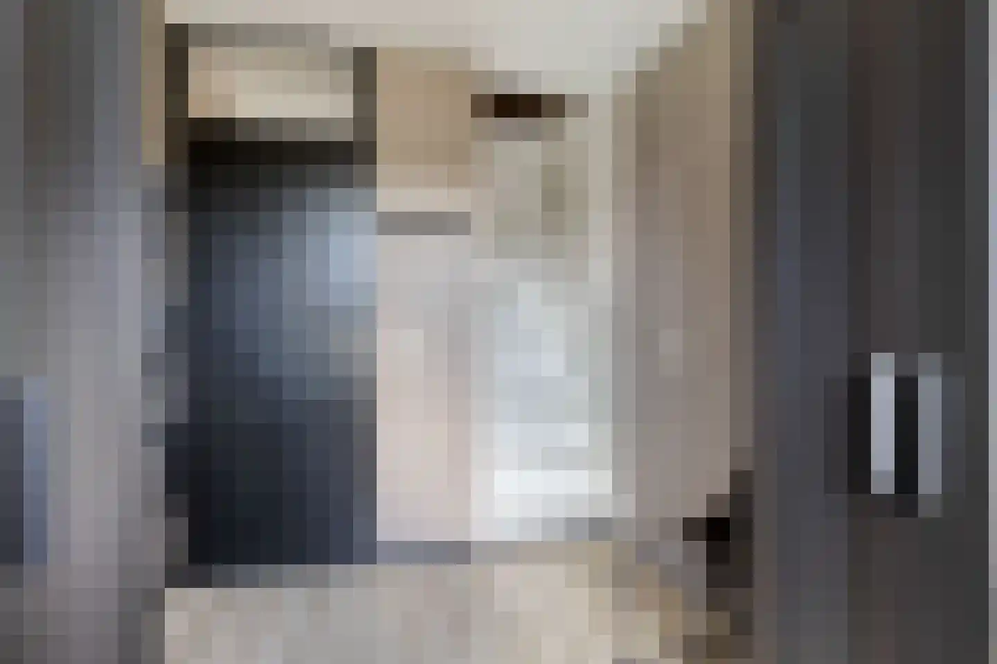 Meerval 49 Oss thumbnail 31