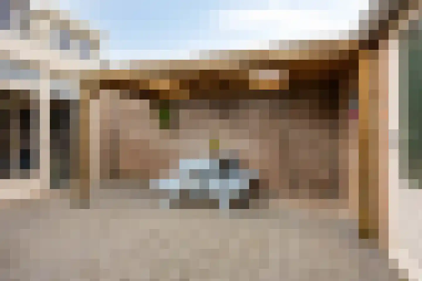 Meerval 49 Oss thumbnail 36