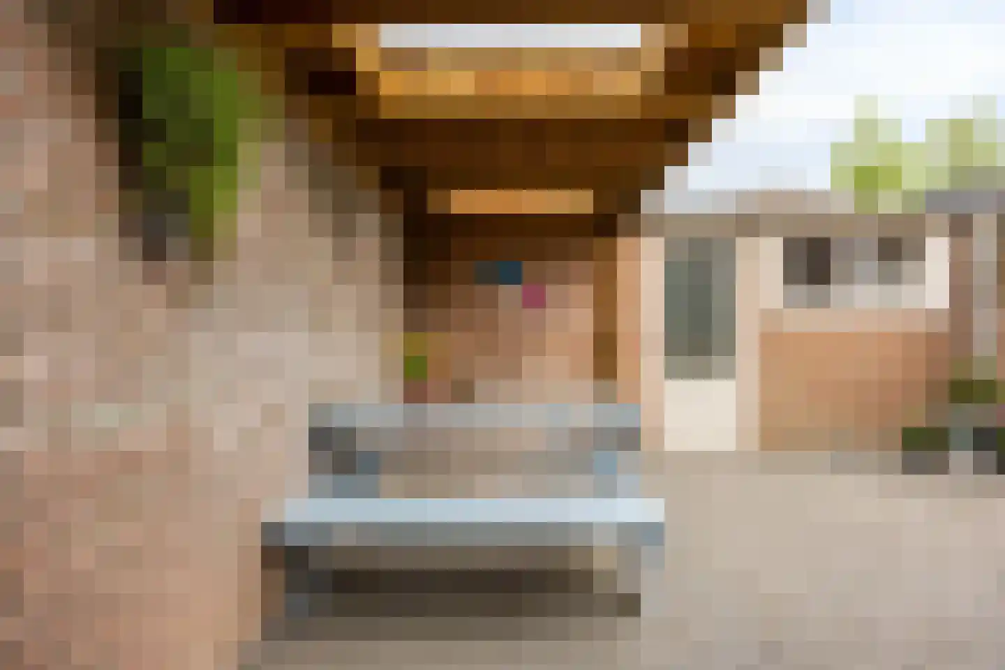 Meerval 49 Oss thumbnail 38