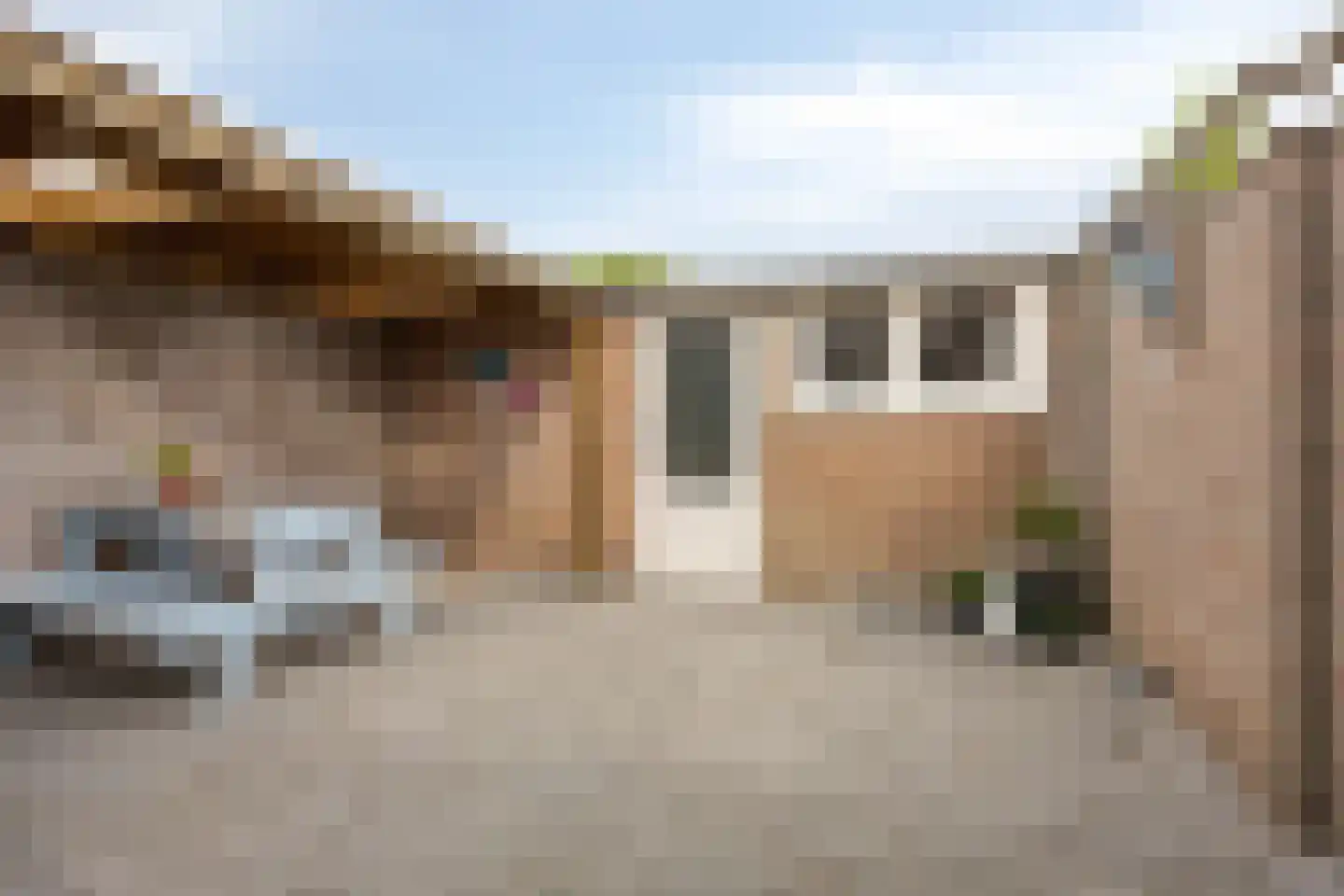Meerval 49 Oss thumbnail 4