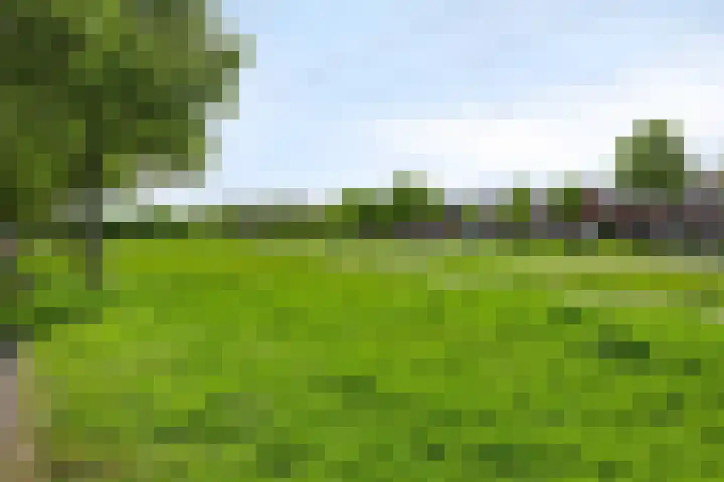 Meerval 49 Oss thumbnail 41