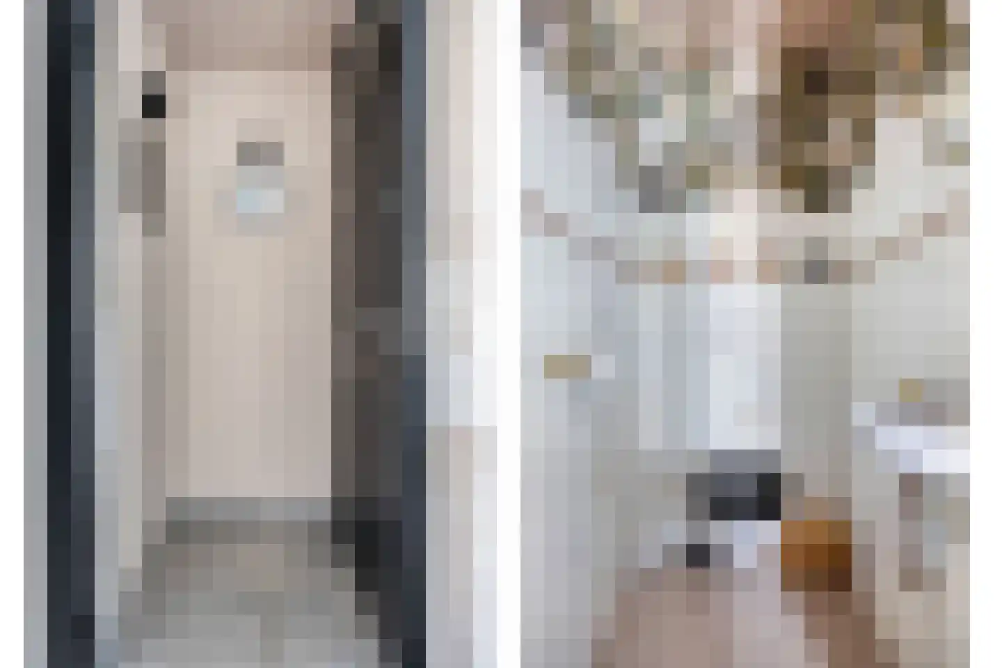 Meerval 49 Oss thumbnail 6