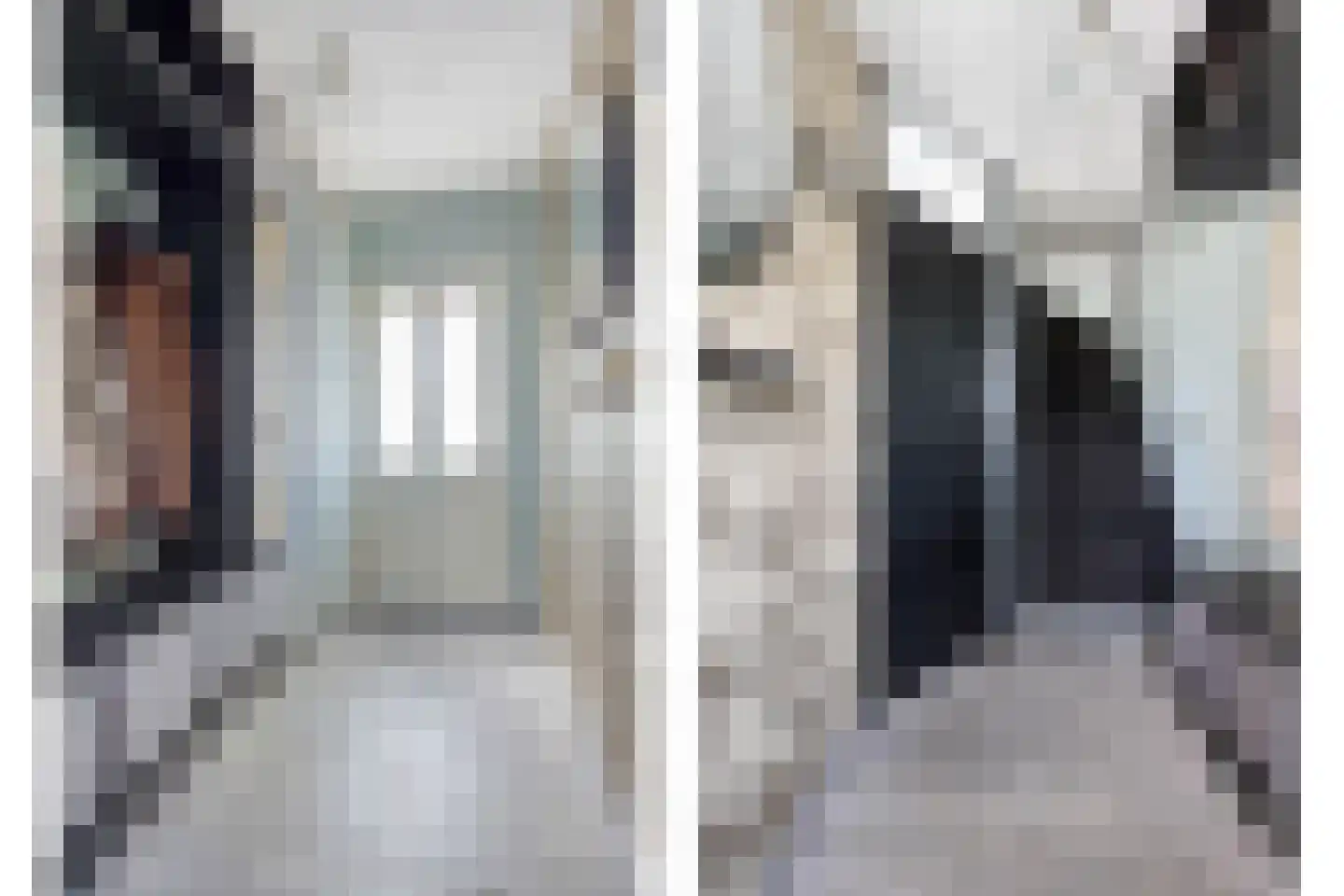 Meerval 49 Oss thumbnail 6