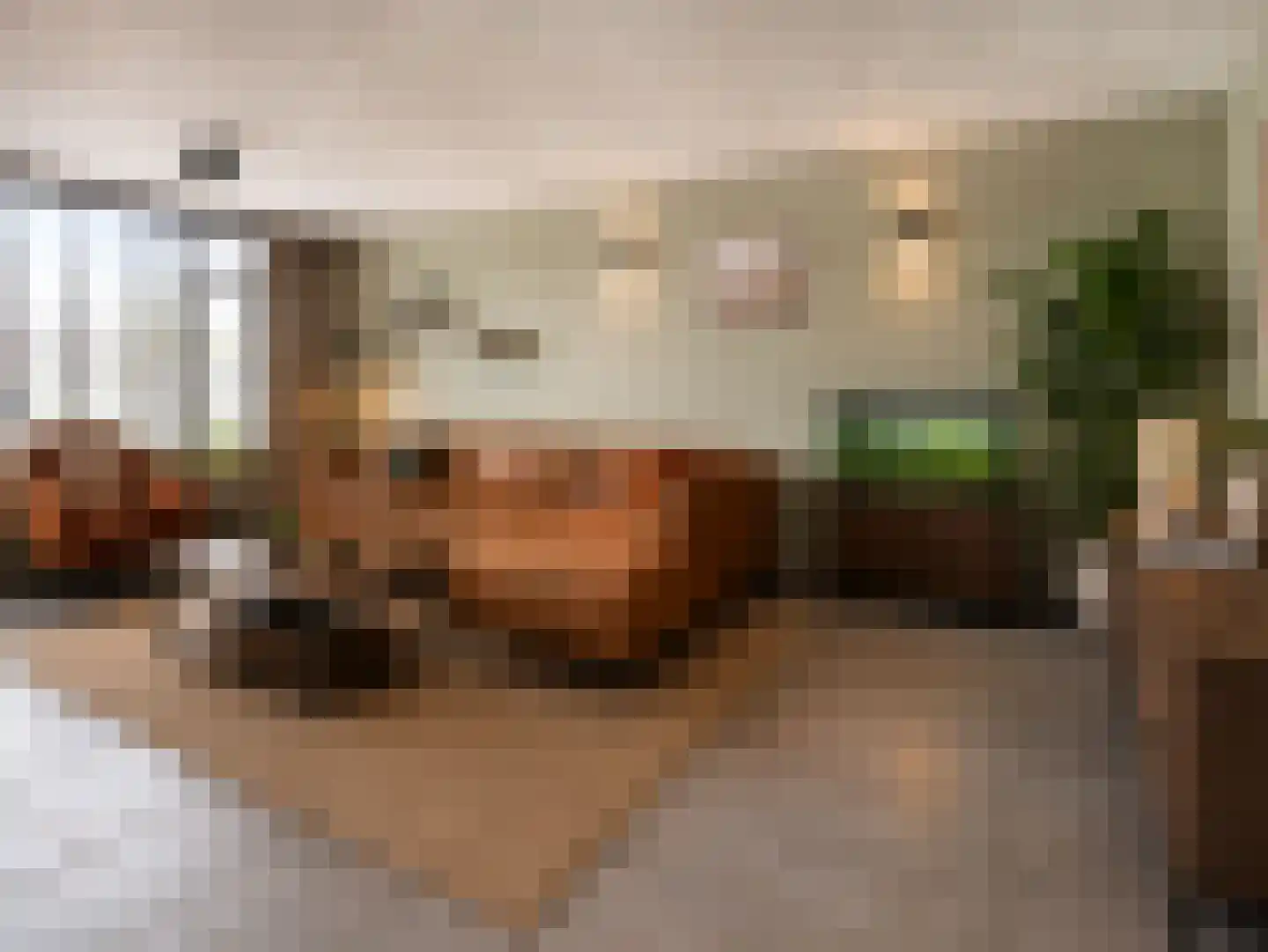 Meerval 49 Oss thumbnail 7