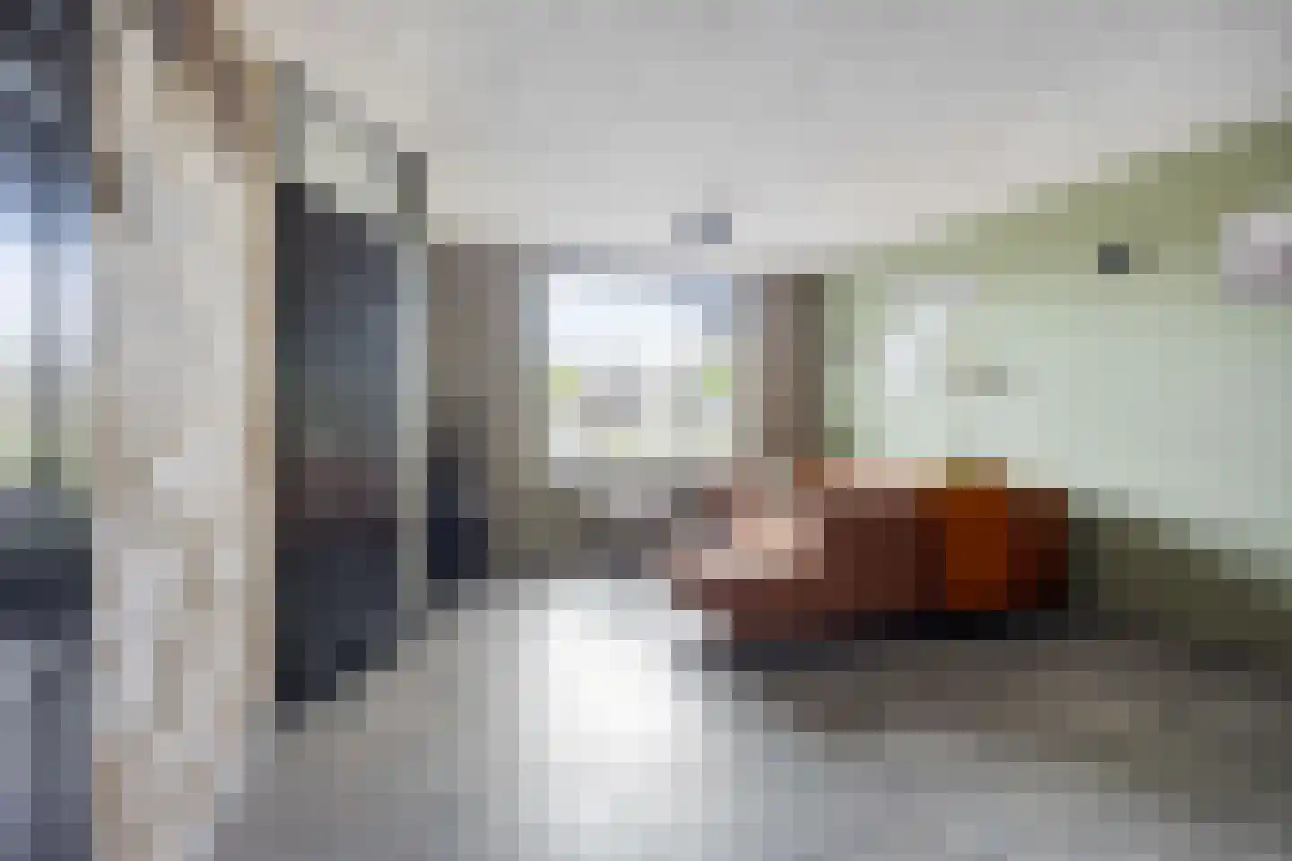 Meerval 49 Oss thumbnail 8