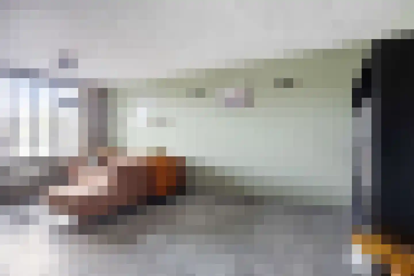 Meerval 49 Oss thumbnail 8