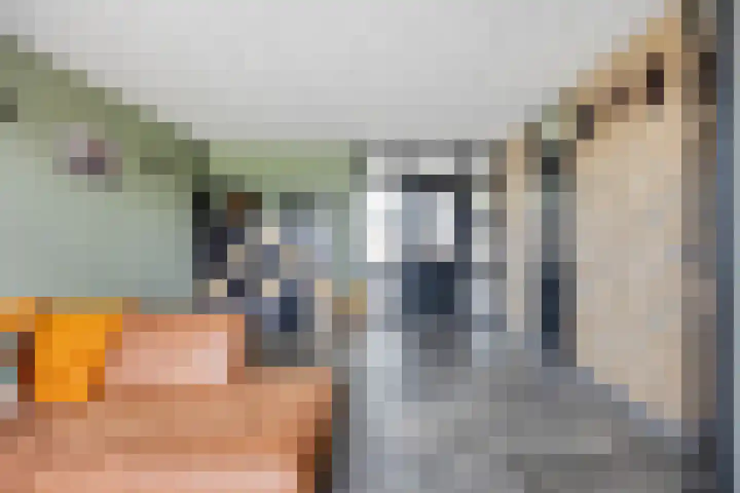 Meerval 49 Oss thumbnail 9