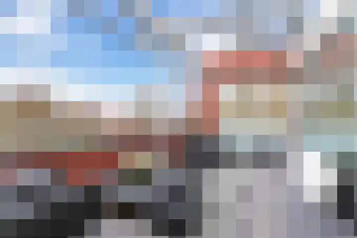 Meerval 52 Amersfoort thumbnail 18