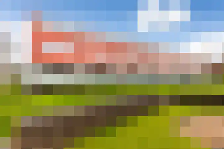 Meerval 52 Amersfoort thumbnail 38