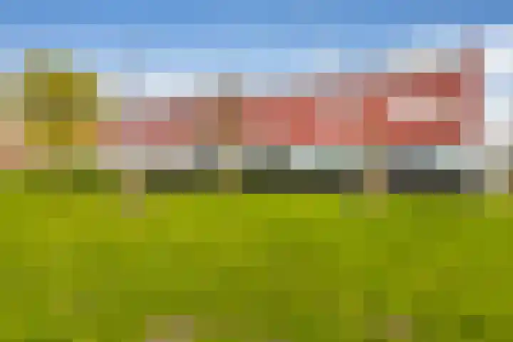 Meerval 52 Amersfoort thumbnail 39