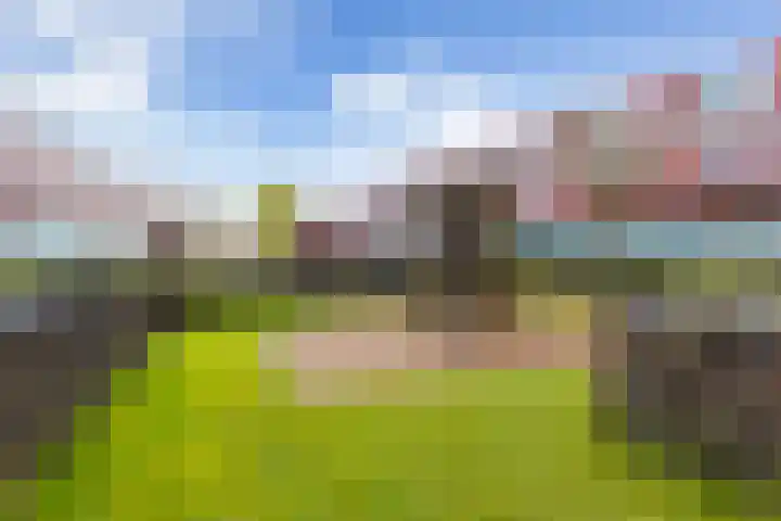 Meerval 52 Amersfoort thumbnail 41