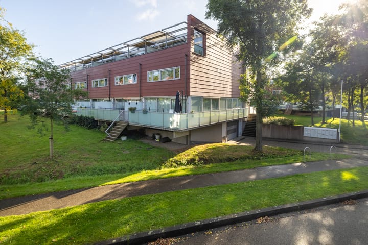 Meerval 56 in Amersfoort Foto