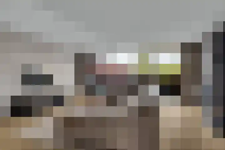 Meerval 56 Amersfoort thumbnail 11