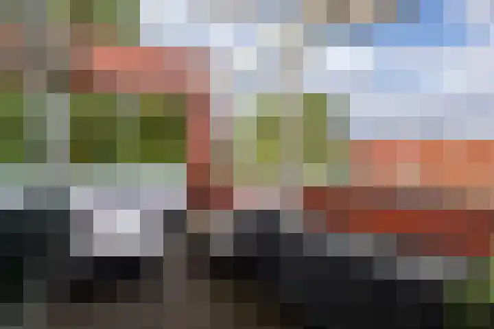 Meerval 56 Amersfoort thumbnail 12