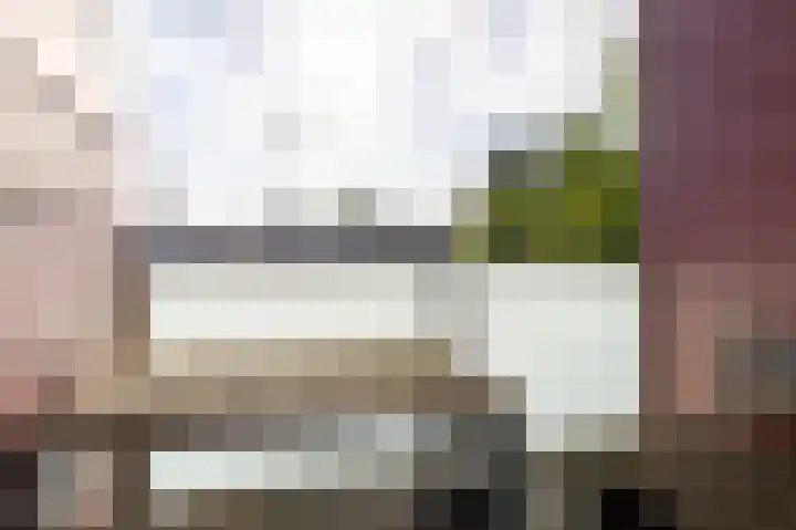 Meerval 56 Amersfoort thumbnail 22