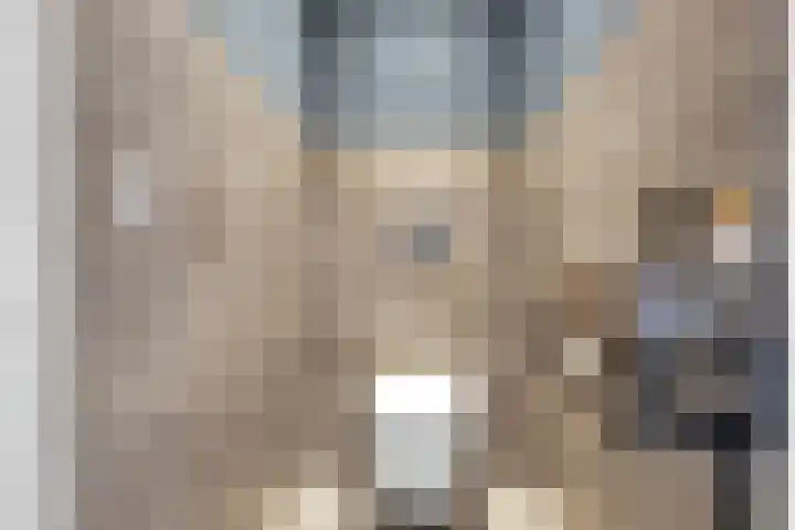 Meerval 56 Amersfoort thumbnail 25
