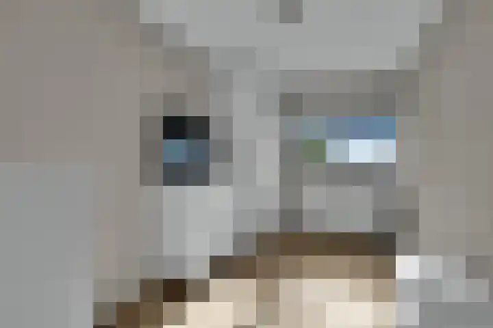 Meerval 56 Amersfoort thumbnail 27