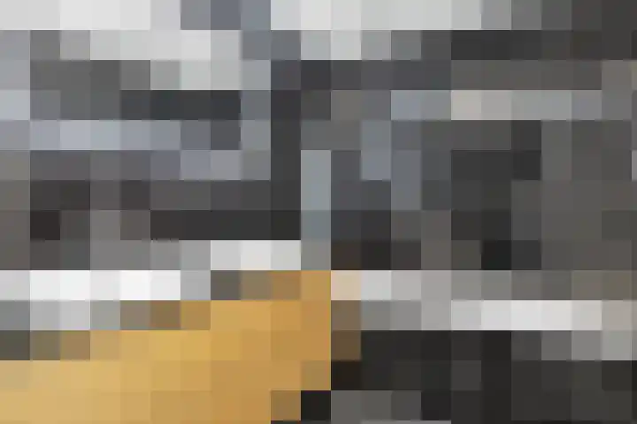 Meerval 56 Amersfoort thumbnail 28