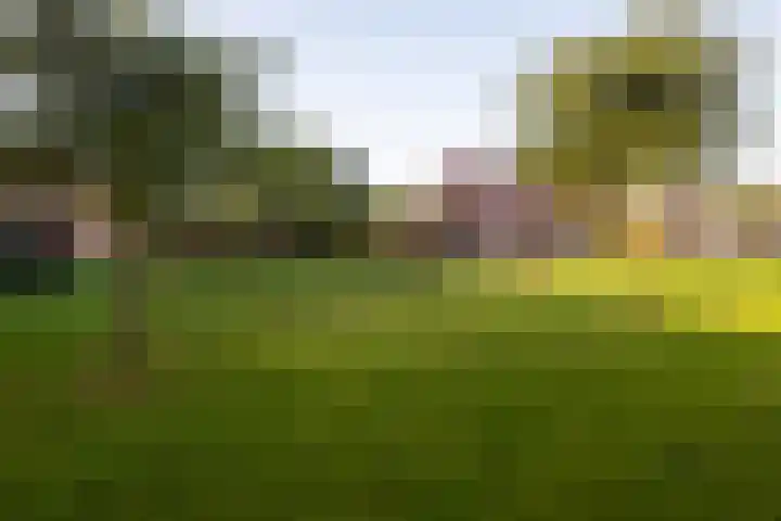 Meerval 56 Amersfoort thumbnail 34