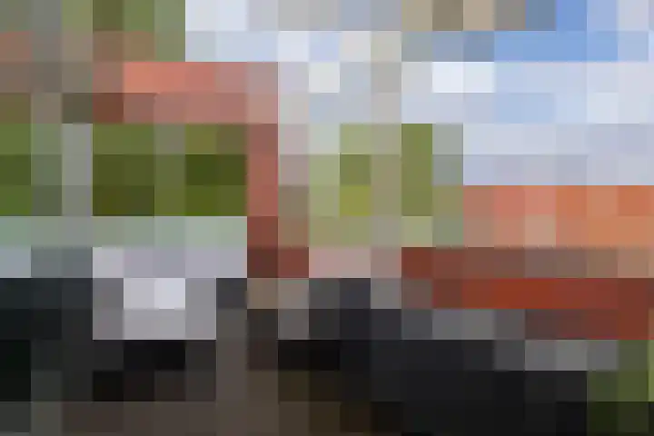 Meerval 56 Amersfoort thumbnail 5