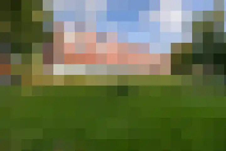 Meerval 56 Amersfoort thumbnail 6