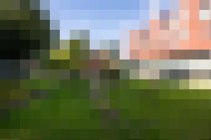 Meerval 56 Amersfoort thumbnail 7